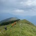DofE@dhsb (@dofe_dhsb) Twitter profile photo DofE@dhsb (@dofe_dhsb) Twitter profile photo