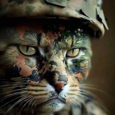 DmytroDime's profile picture. 