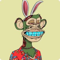 PUNKS (@bitcoinnftpunk5) 's Twitter Profile