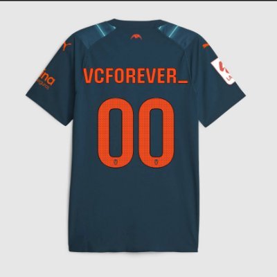 VCForever_ Profile Picture