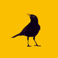 Blackbird Creative (@blackbird__uk) 's Twitter Profile