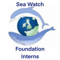 Sea Watch Foundation Anglesey Project(@Seawatch_mon) 's Twitter Profile Photo