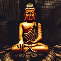 Jim Martin (@notthebuddha) 's Twitter Profile Photo Jim Martin (@notthebuddha) 's Twitter Profile Photo