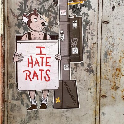 hungdom23's profile picture. 