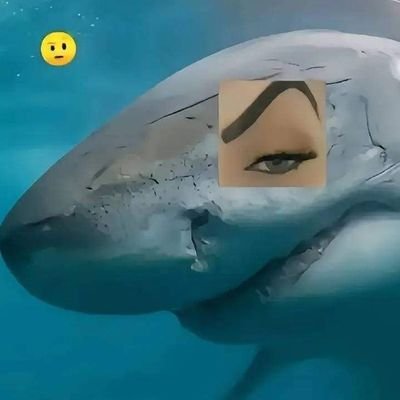 ErikxGodoy03's profile picture. 🌈