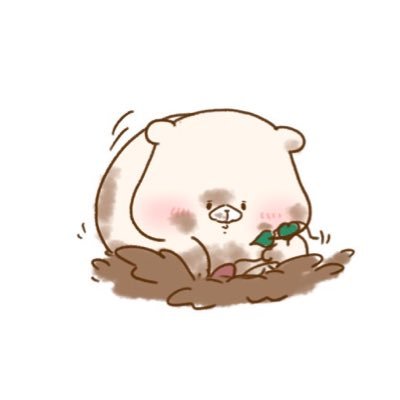 ぼちぼち社会人