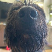 @TobiDerKnopf2023 (@tobiderknopf) Twitter profile photo