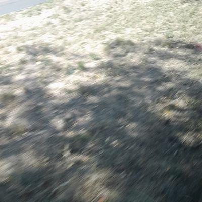 PernodetTa44027's profile picture. support everyone in every groupe