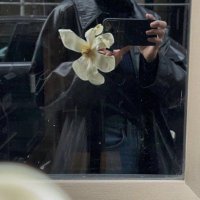 شهد (@__purity0) Twitter profile photo