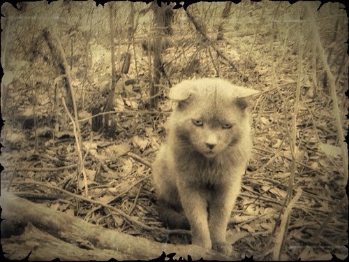 c1m's profile picture. !