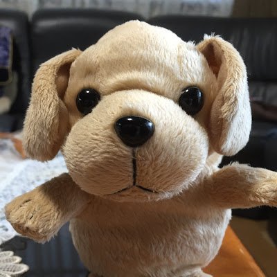 x6PrEkcQYa92770's profile picture. 