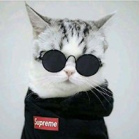TypëiT (@typeit8) 's Twitter Profile