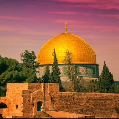 We seek justice and freedom for the Palestine to be an independent state and for the Palestinians to return home.