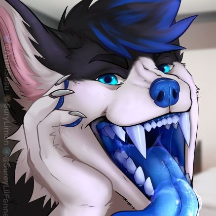 ArchieWolfyy's profile picture. nsfw acc of
someone.