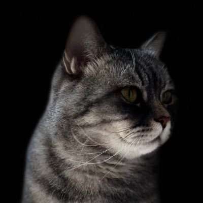 dlkyele017's profile picture. 