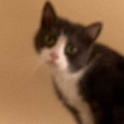 Kanaさんのプロフィール画像