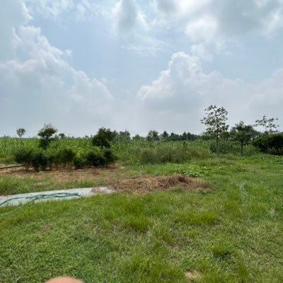 abhinav2302055's profile picture. 