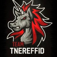 TEAM TNEREFFID(@TEAM_TNEREFFID_) 's Twitter Profile Photo