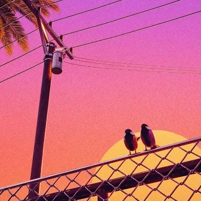 AlishaShrma09's profile picture. ✨🤍