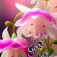 o (@iyyappan172) 's Twitter Profile