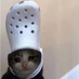 noobie812912 (@drewrptf) Twitter profile photo noobie812912 (@drewrptf) Twitter profile photo