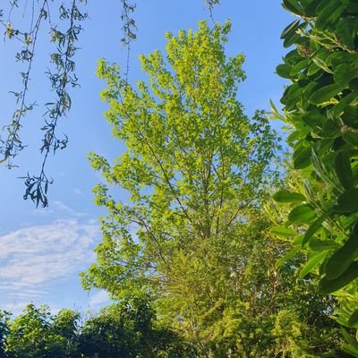 vimto108's profile picture. Interested in poetry, music and philosophy mainly!