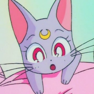 ほしのひかり✩⡱さんのプロフィール画像