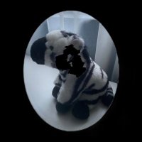 Em ᭄ (@08wonci) 's Twitter Profile Photo Em ᭄ (@08wonci) 's Twitter Profile Photo