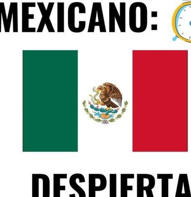 Va por un México Mejor