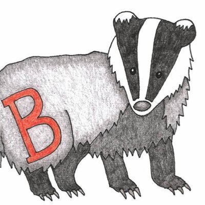 badgers_Y1Y2Stl Profile Picture