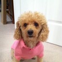 Maureen Gregory - @moemamagolf - Twitter