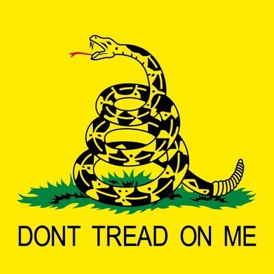 Sic Semper Tyrannis,
I aim to misbehave.
Dragon Believer