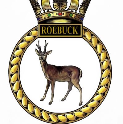 Senior Cadets & Royal Marines Cadets 12 - 18 yrs: Tuesdays & Thursday 18:45 - 21:15 Junior Cadets 10 - 12 yrs: Thursday 18:45 - 21:15