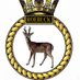 Taunton Sea & RM Cadets (@TauntonSCC) Twitter profile photo
