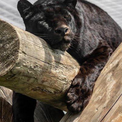 JimB440's profile picture. 