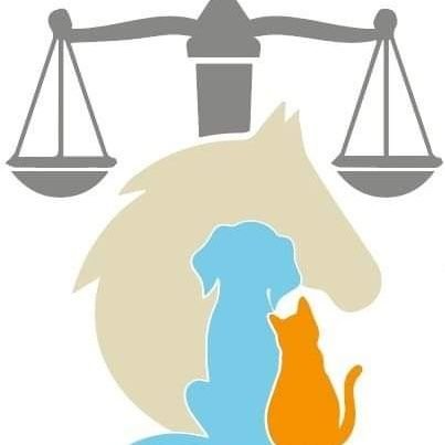 ABOGADOS ANIMALISTAS DE PUEBLA Profile