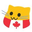 fintechlurker's profile picture. 