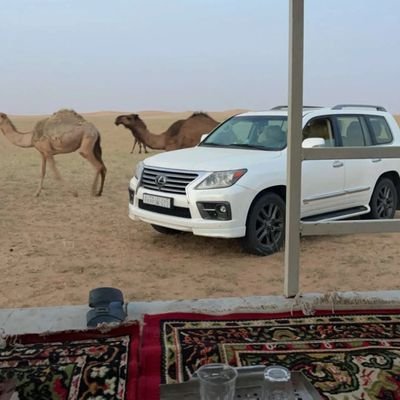 GDh1697270's profile picture. 