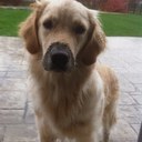 mike mclane - @mm1432kk - Twitter