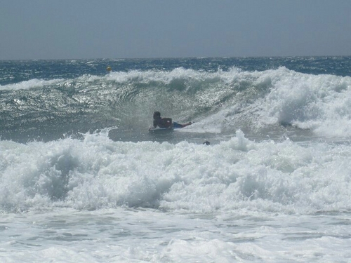 pipetasso's profile picture. 