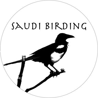 Interested in birding Saudi Arabia? Check out https://t.co/3zyDUevFdR.