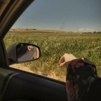 R̳u̳h̳u̳ ̳i̳n̳c̳e̳ Melek (@birinceruhlu) 's Twitter Profile