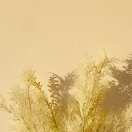 25cpa 동차합 노려요
재시생이지만 아는게 하나도 없는 수험생의 일기장 정도로 생각해주시면 감사하겠습니다
