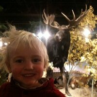 Dallan Andrus (@dallanandrus) 's Twitter Profile