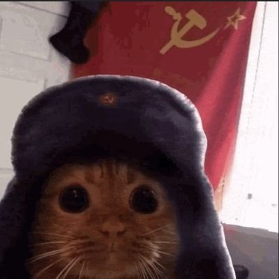 Comrade Meow 😼