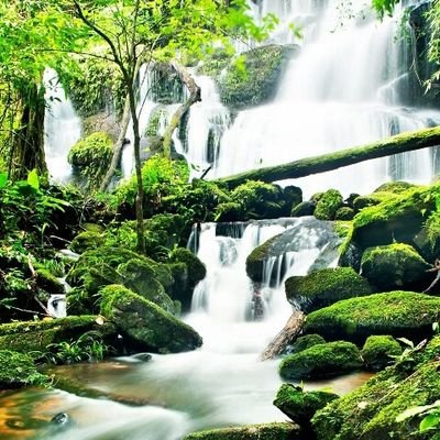 EbenyCM's profile picture. A freedom fighter, a hardcore Biafran, a vocalist, love playing flute and guitar,  we are fanatical about Biafra and chukwu okike abiama is our God