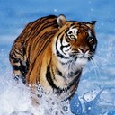 sharon walker - @shazza6210 - Twitter