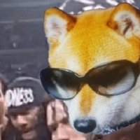 FORCE𝕏 THE REAL ONLY ONE ❤️ Memecoin (@4life_forceshib) 's Twitter Profile