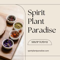 Spirit Plant Paradise(@spiritplantpar) 's Twitter Profile Photo