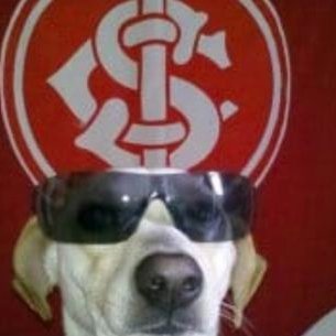 ▸ @SCInternacional